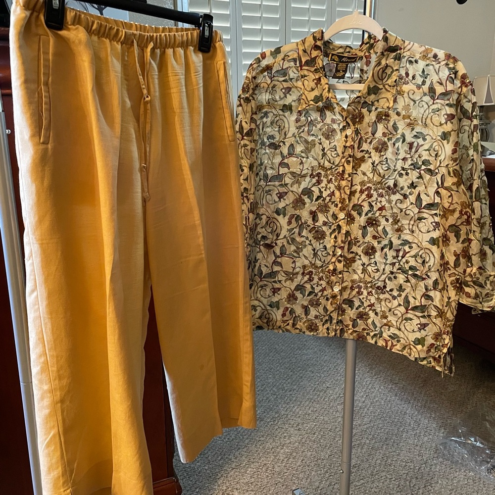 Beautiful classy fall pants and blouse.